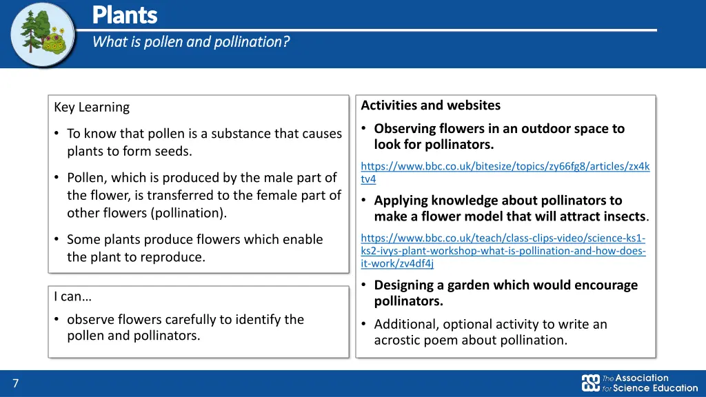 plants plants what is pollen and pollination what