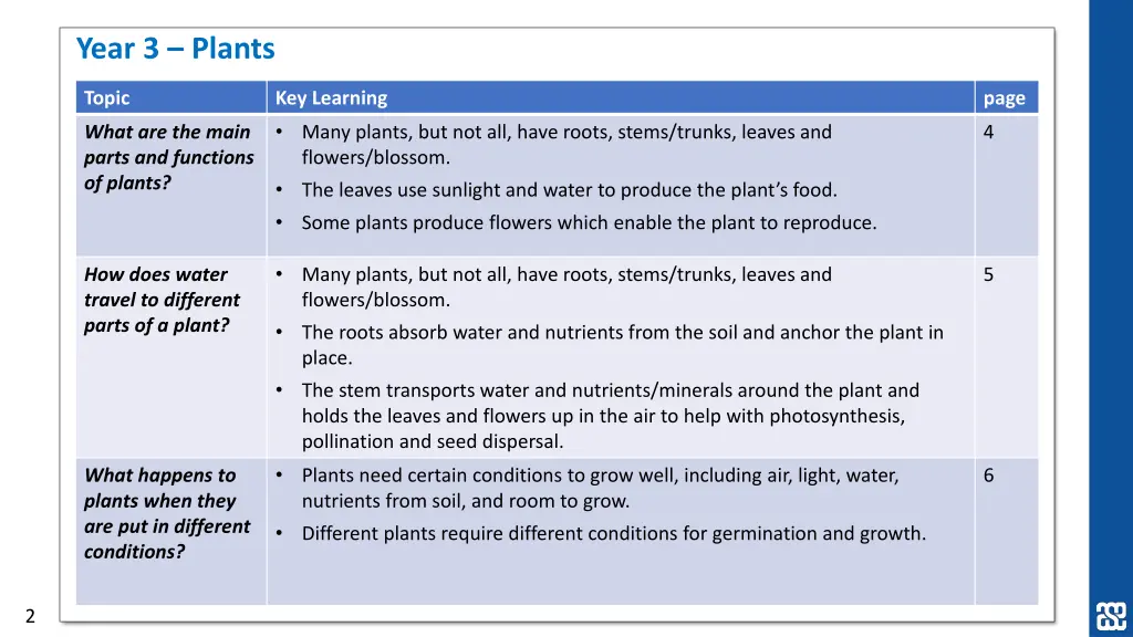 year 3 plants