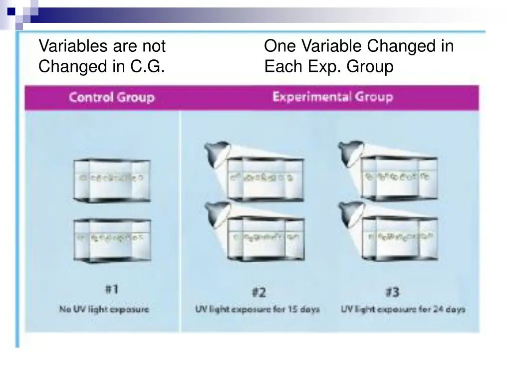 variables are not changed in c g
