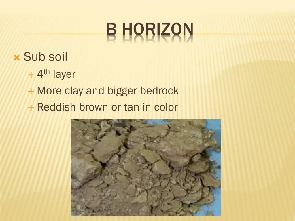 b horizon