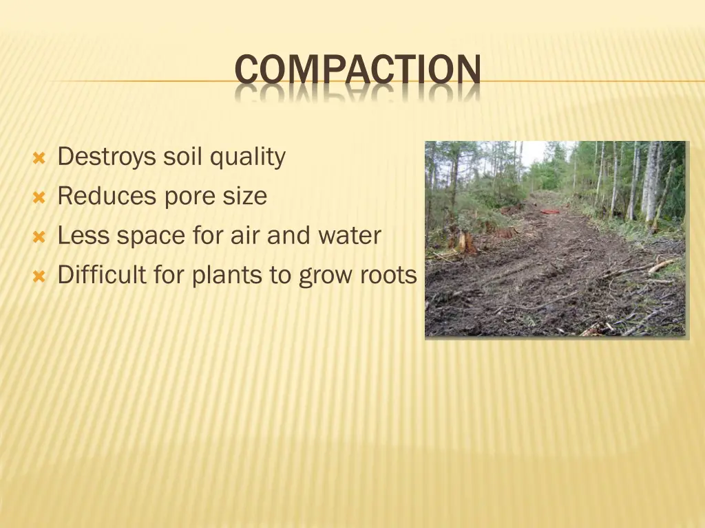 compaction