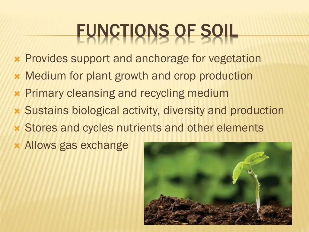 functions of soil