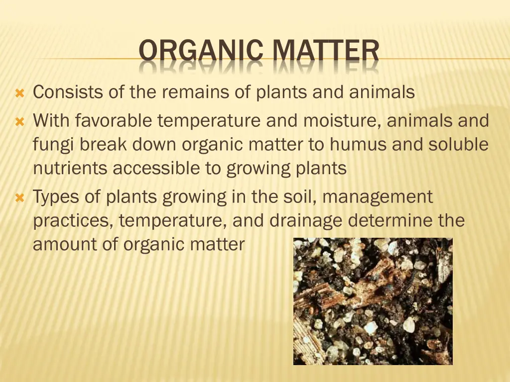 organic matter
