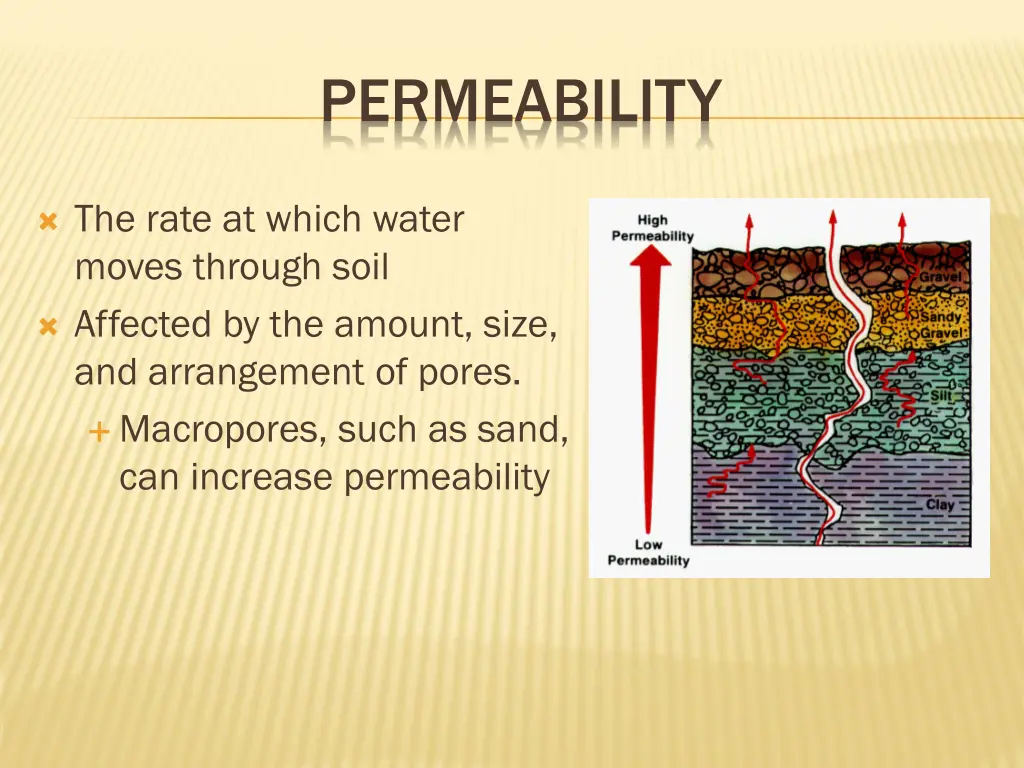 permeability