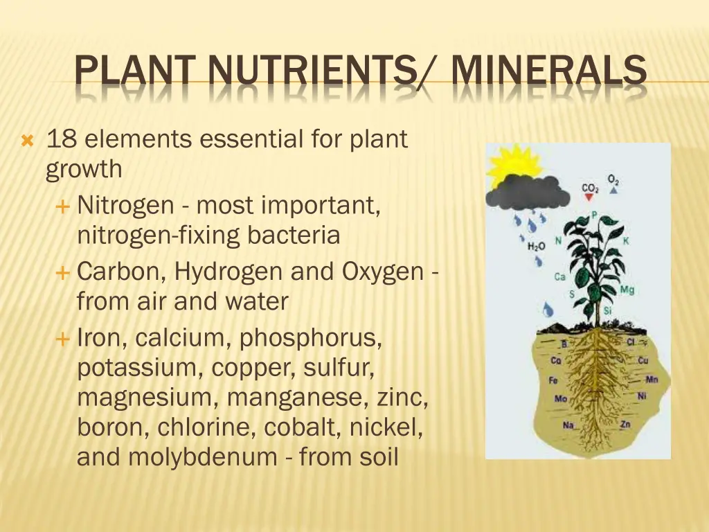 plant nutrients minerals