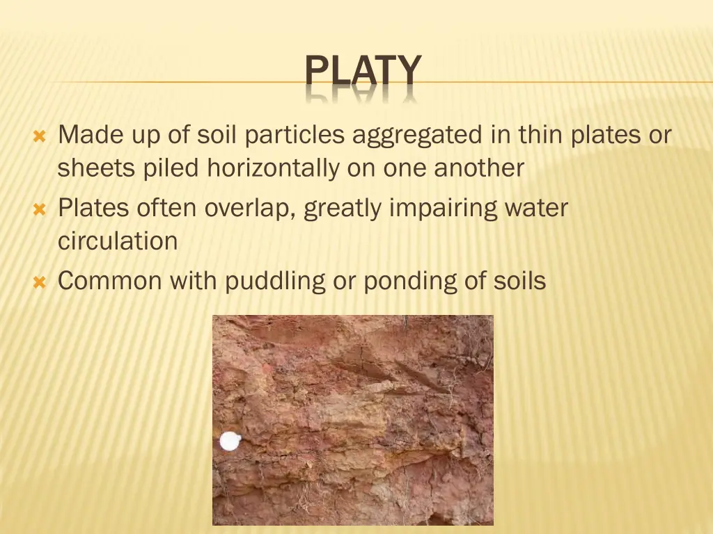 platy