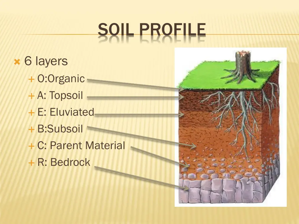 soil profile 1