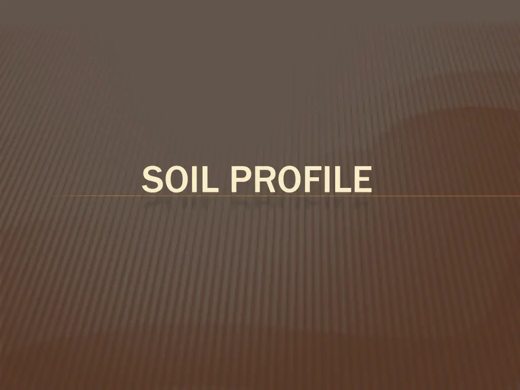 soil profile