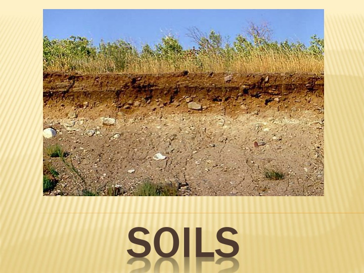 soils