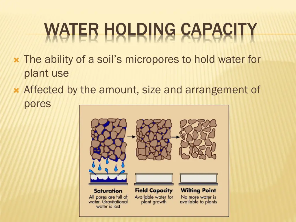 water holding capacity