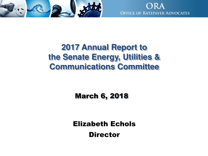 2017 annual report to the senate energy utilities