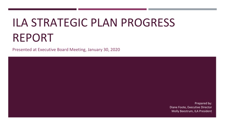 ila strategic plan progress report