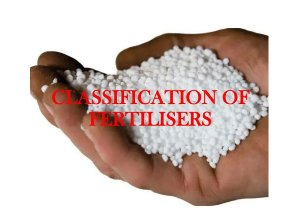 slide8