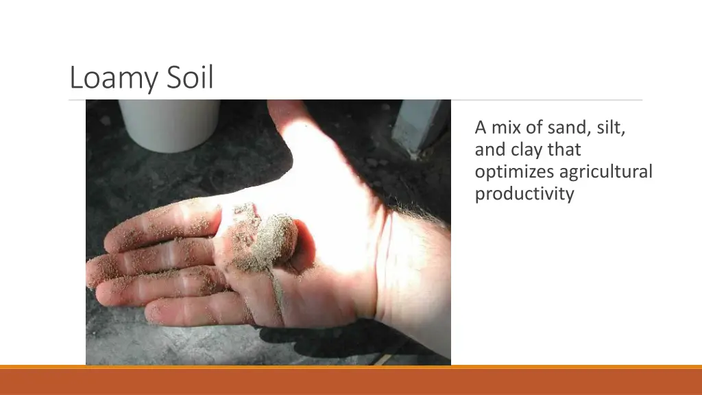 loamy soil