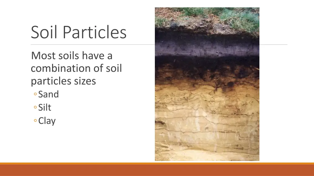 soil particles