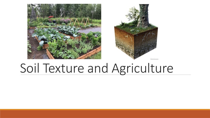 soil texture and agriculture