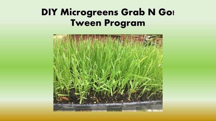 diy microgreens grab n go tween program