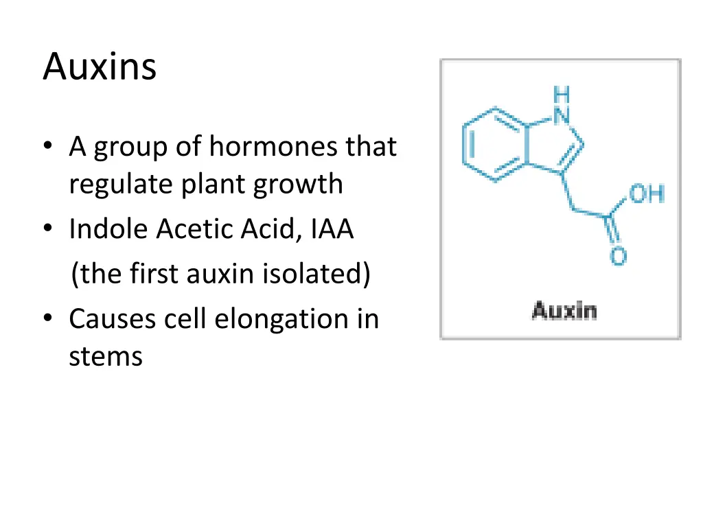 auxins