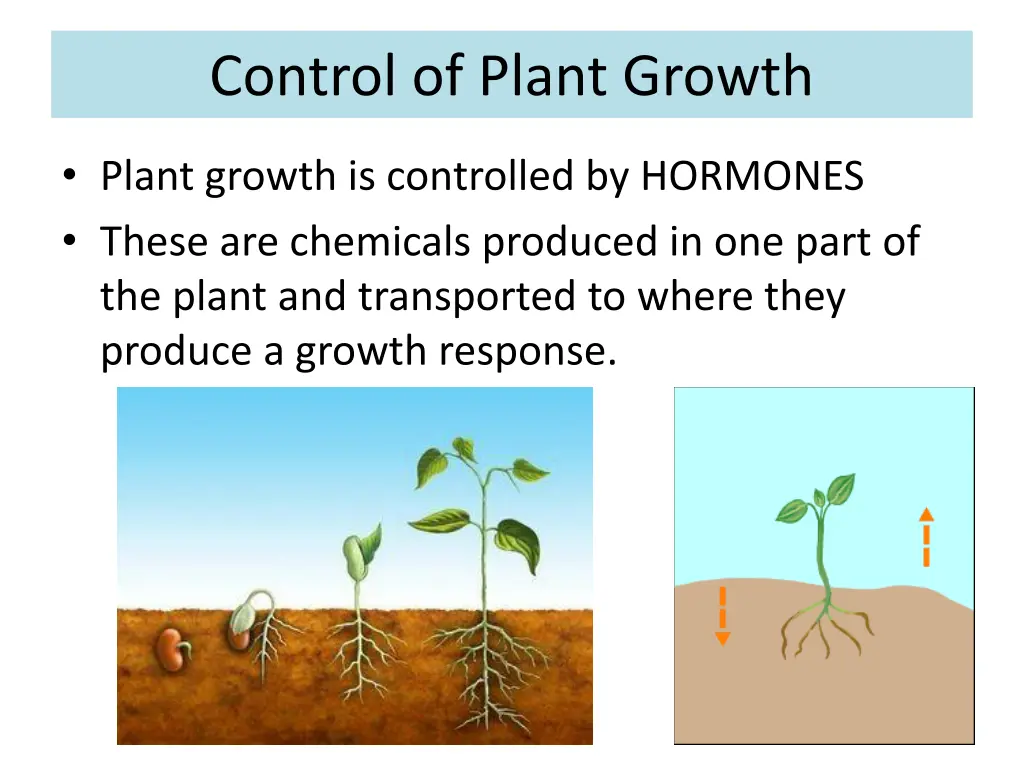 control of plant growth