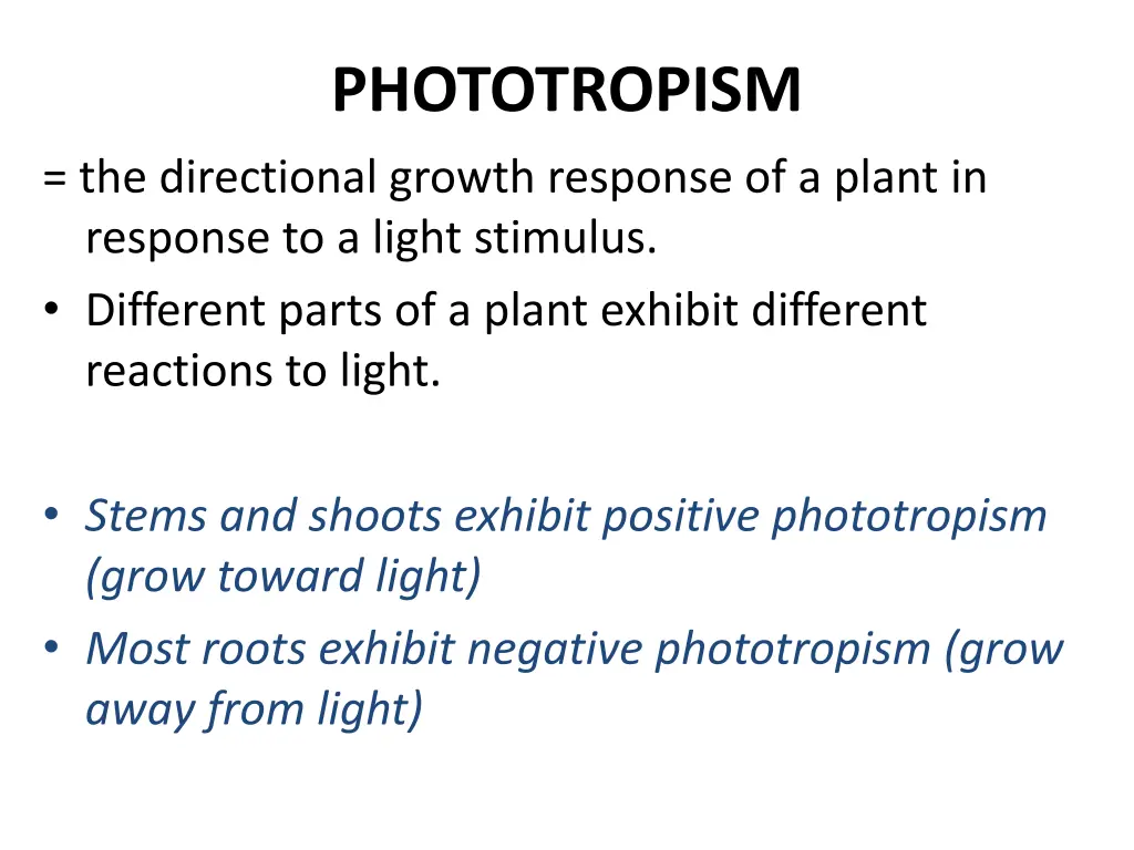 phototropism