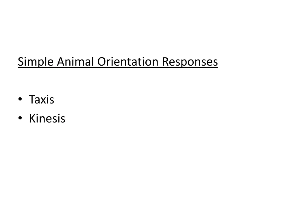 simple animal orientation responses