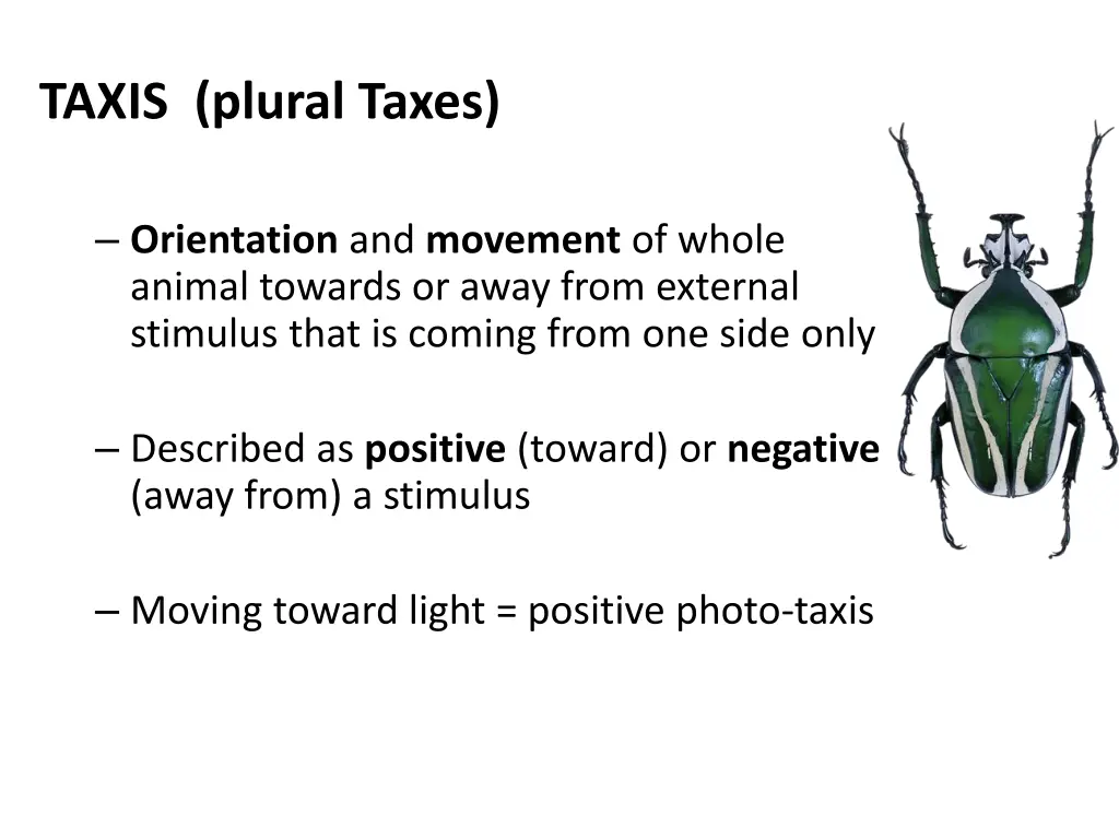 taxis plural taxes