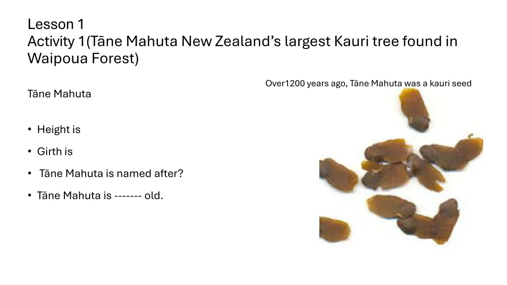 lesson 1 activity 1 t ne mahuta new zealand