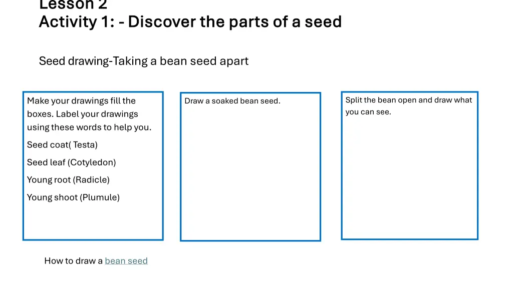 lesson 2 lesson 2 activity 1 activity 1 discover