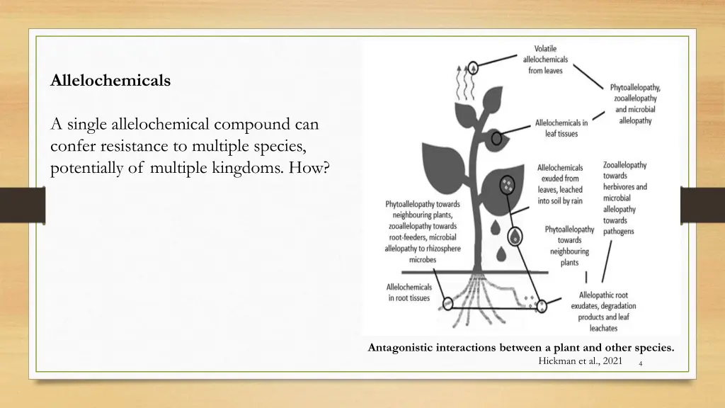 allelochemicals a single allelochemical compound
