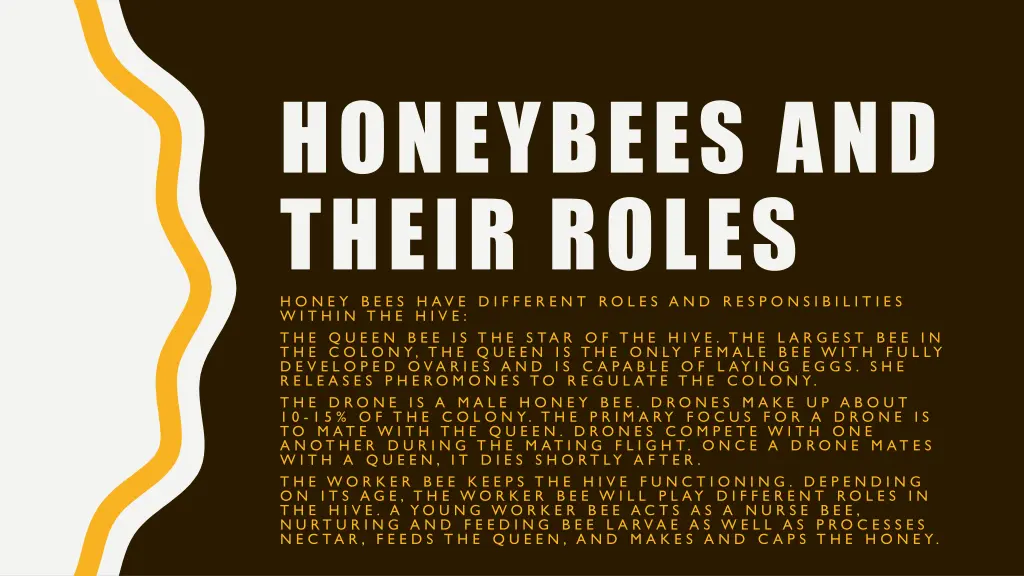 honeybees and their roles