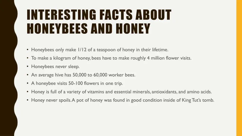 interesting facts about honeybees and honey