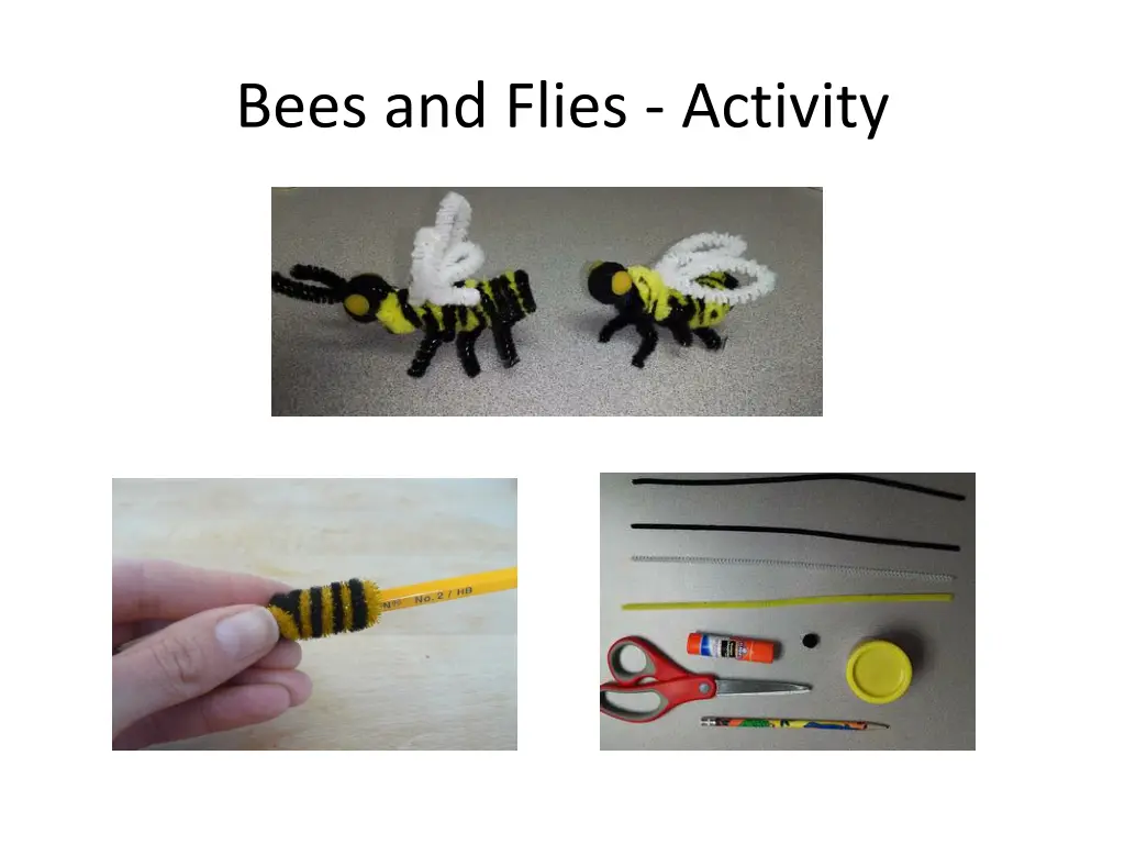 bees and flies activity