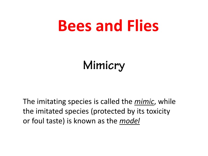 bees and flies