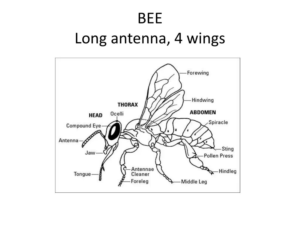 slide3