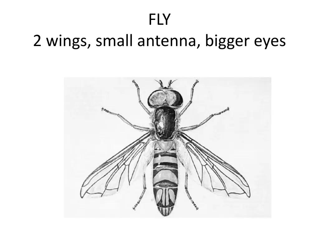 slide4