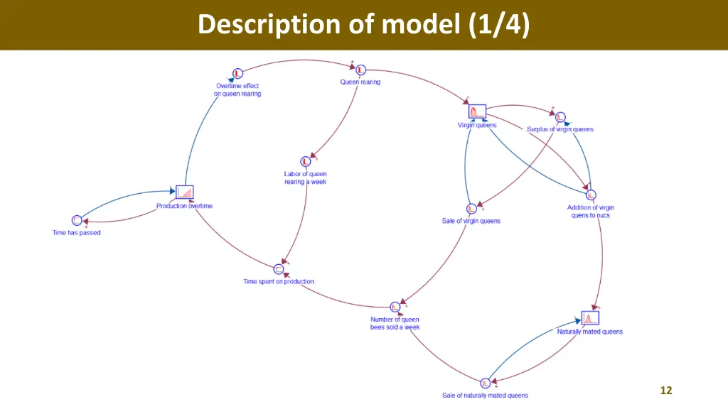 description of model 1 4