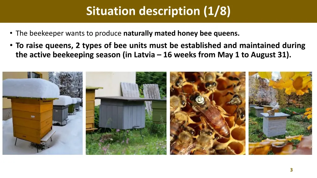 situation description 1 8