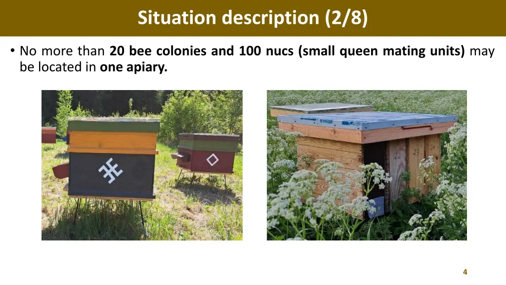 situation description 2 8