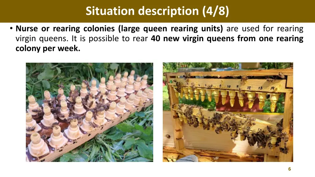 situation description 4 8