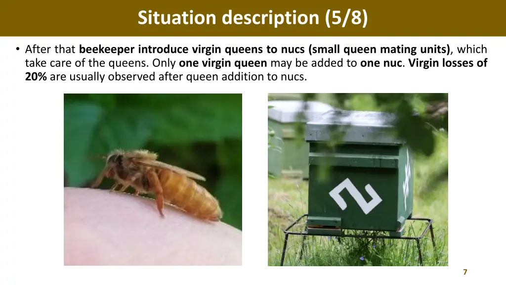 situation description 5 8