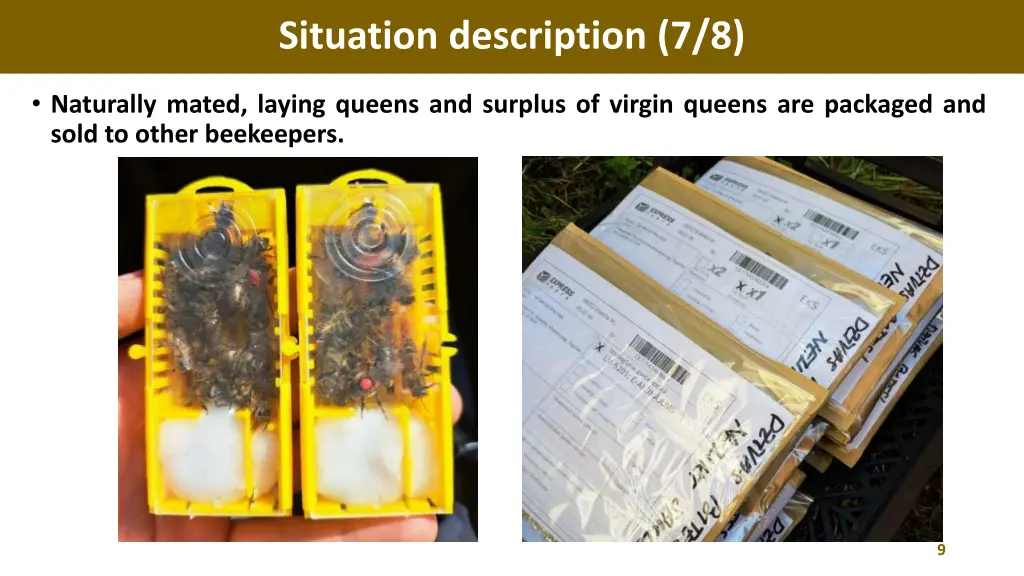 situation description 7 8