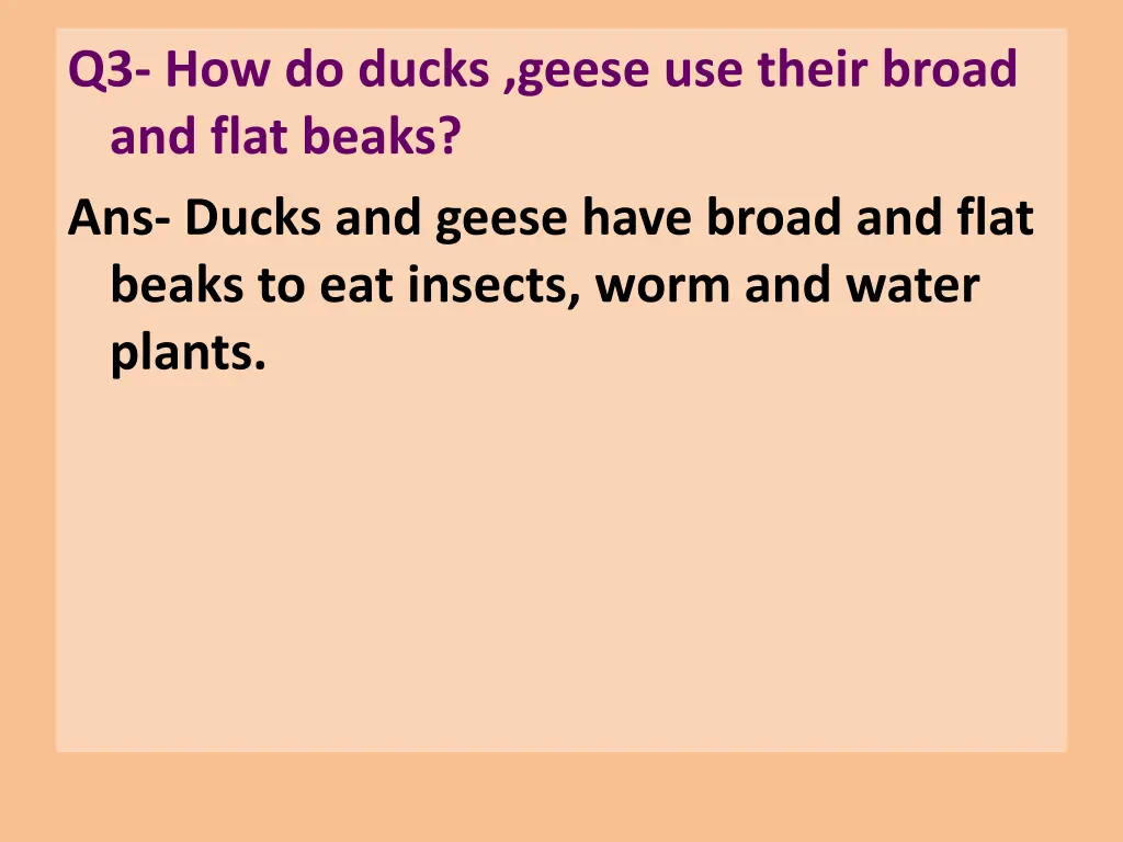 q3 how do ducks geese use their broad and flat