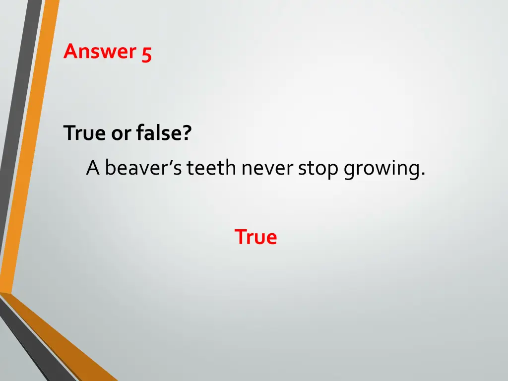 answer 5