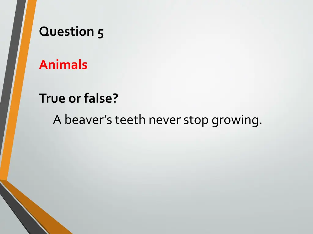 question 5