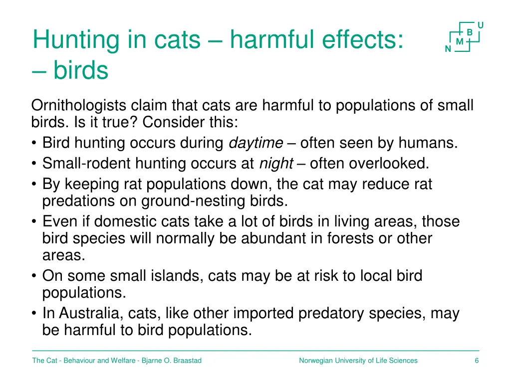 hunting in cats harmful effects birds
