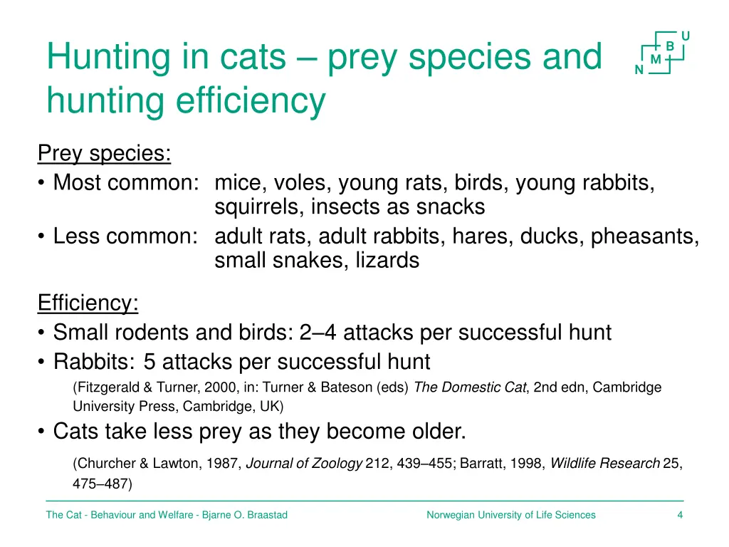 hunting in cats prey species and hunting