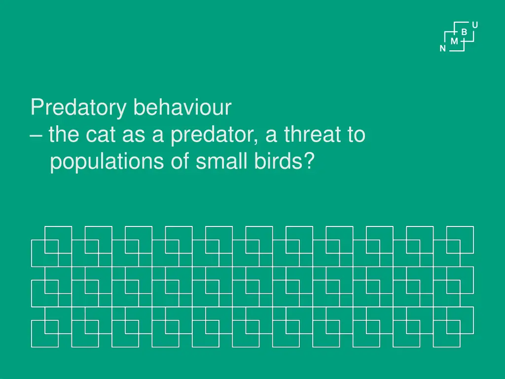 predatory behaviour the cat as a predator