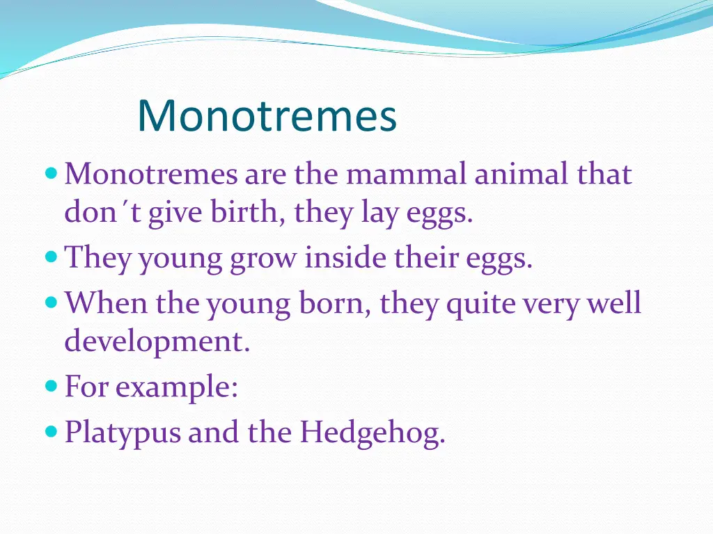 monotremes