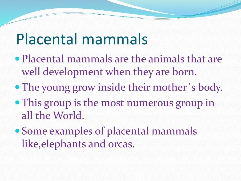placental mammals