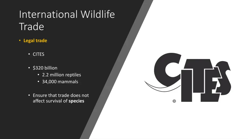 international wildlife trade 1